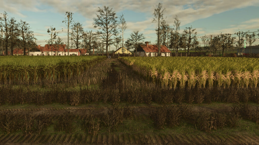 What to expect from Farming Simulator 25 NEXAT Pack DLC -- everything you need to know A field of rice in Farming Simulator 25
